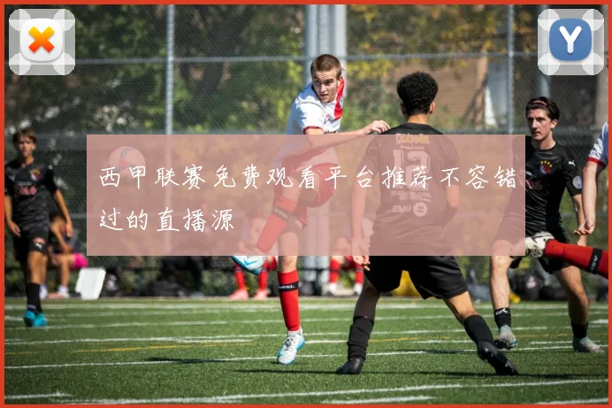 西甲联赛免费观看平台推荐不容错过的直播源