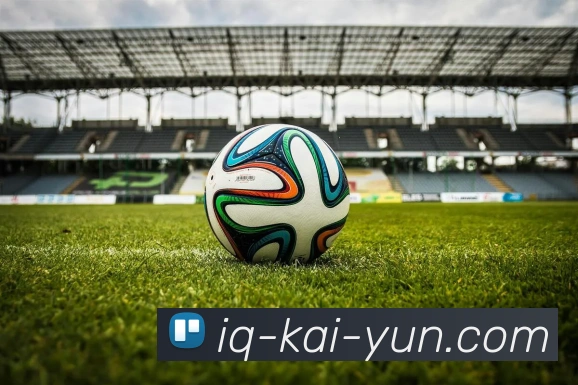 开云appAPP 封面图